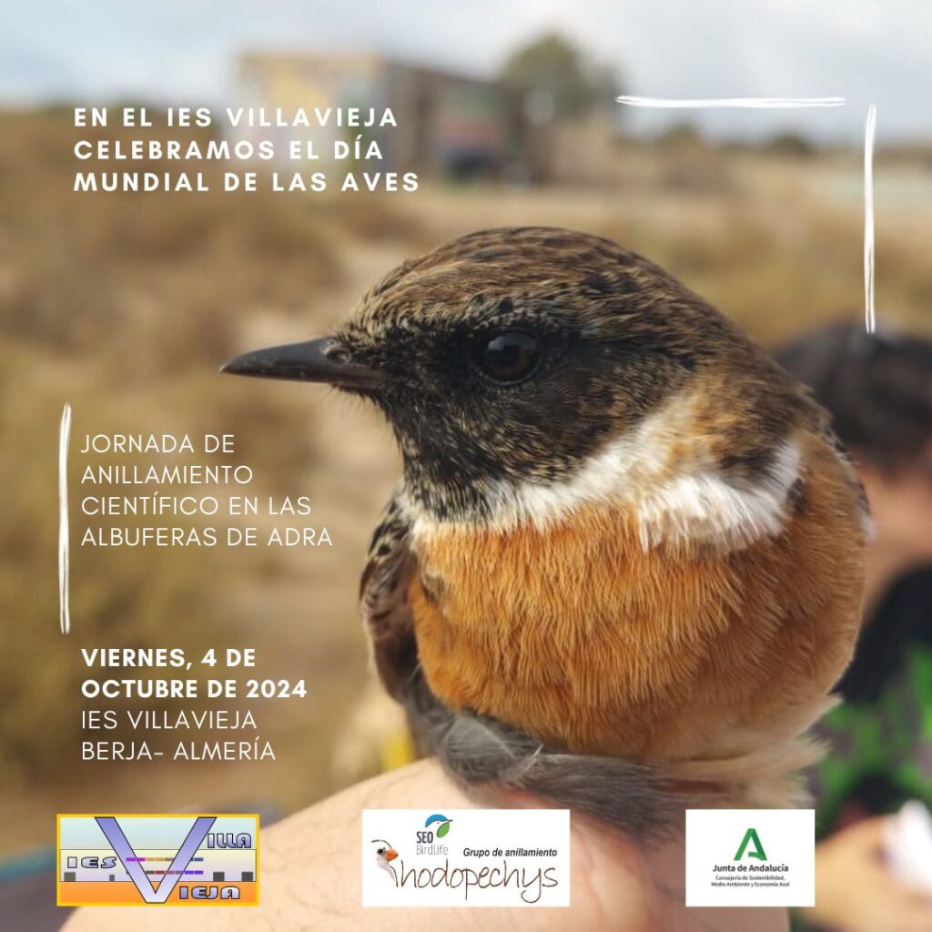 Día Mundial de las Aves 6 PHOTO 2024 10 03 20 15 54