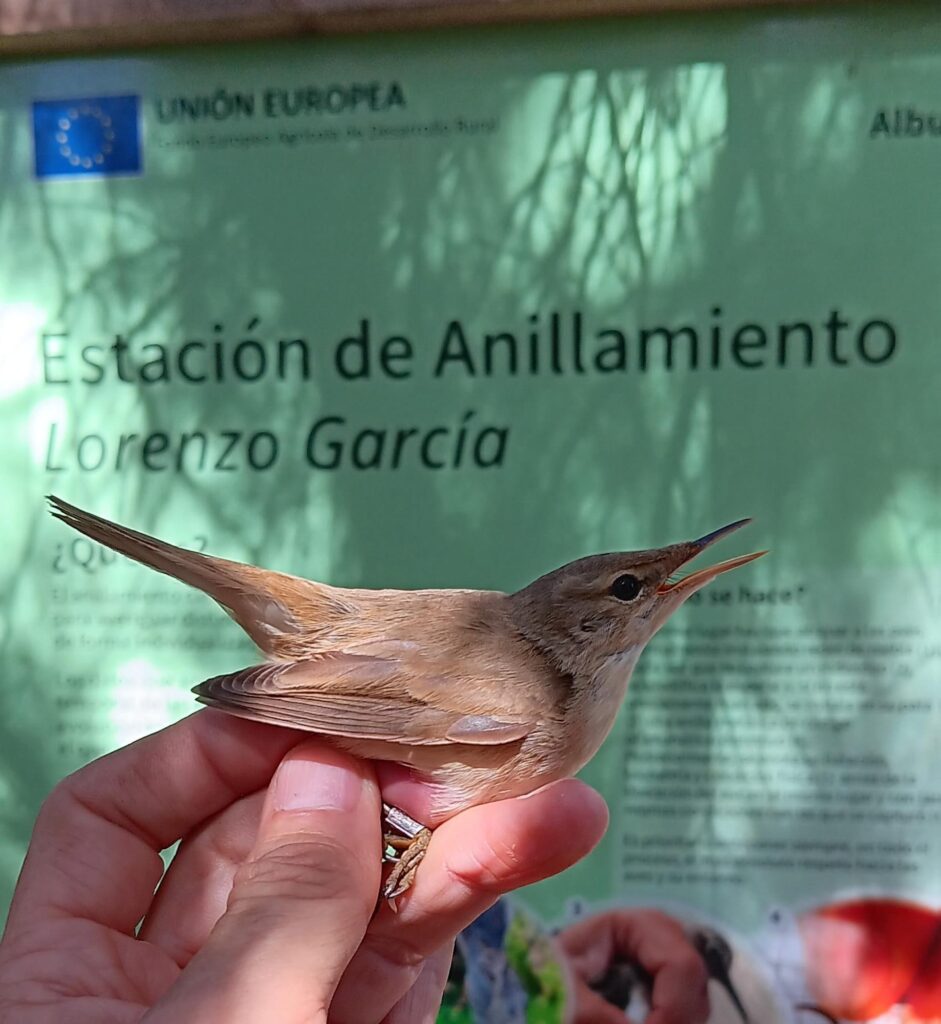 Día de las Aves 13 WhatsApp Image 2024 10 04 at 12.40.49