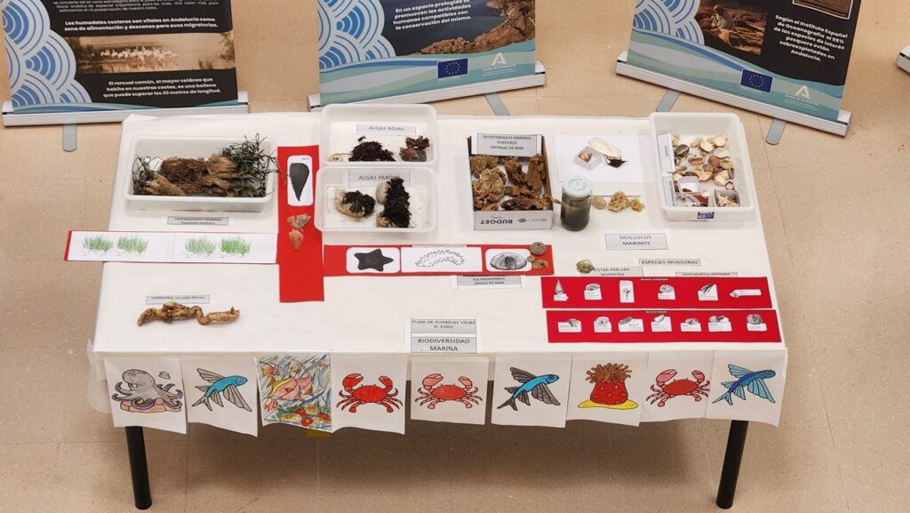 Exposición “Litoral de Andalucía 2 20250214 100645 Grande