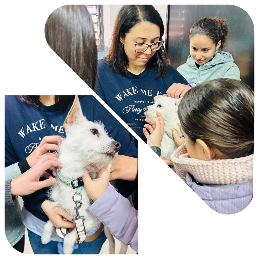 photo output Large 1