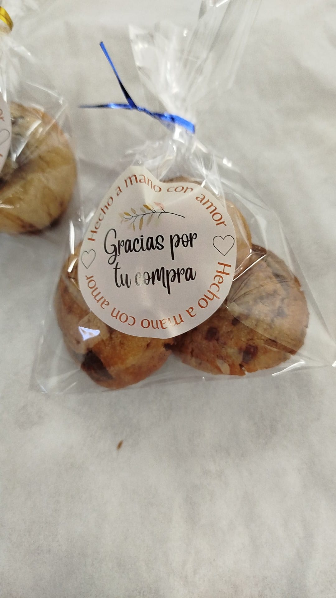 Aula de Jaque 69 PHOTO 2026 02 19 16 38 22 2